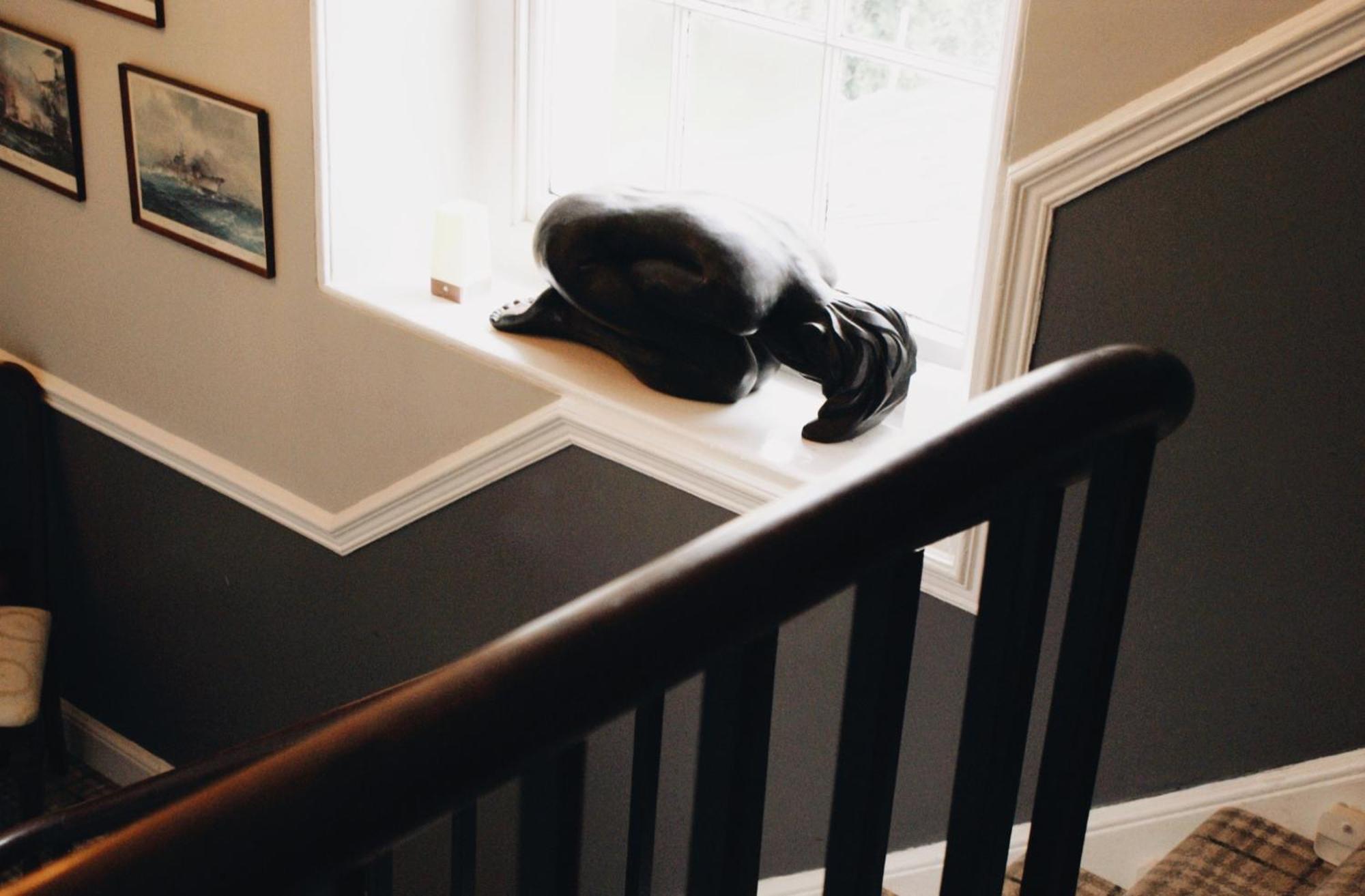 Ranscombe House Bed and Breakfast Brixham Eksteriør billede