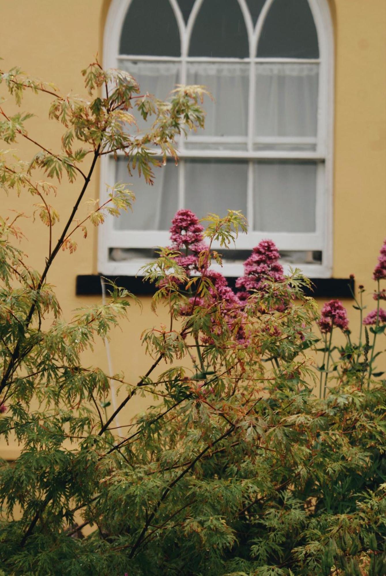 Ranscombe House Bed and Breakfast Brixham Eksteriør billede